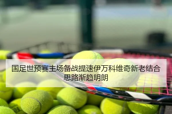 国足世预赛主场备战提速伊万科维奇新老结合思路渐趋明朗