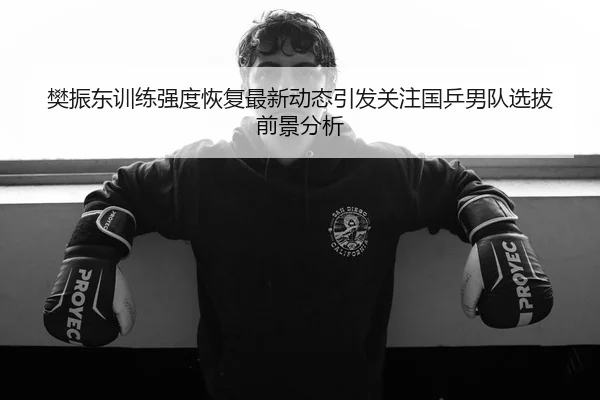 樊振东训练强度恢复最新动态引发关注国乒男队选拔前景分析