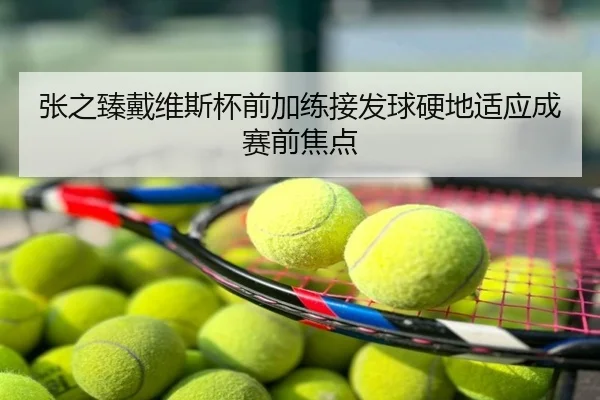 张之臻戴维斯杯前加练接发球硬地适应成赛前焦点