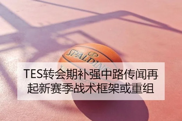 TES转会期补强中路传闻再起新赛季战术框架或重组